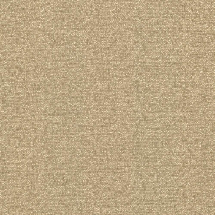 Copacabana Latte by Kasmir Fabric 5037 51% Cotton
49% Polyester
 TAIWAN 15,000 Wyzenbeek Double Rubs Horizontal: N/A and Vertical: N/A 54 - Fabric Carolina -