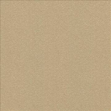 Copacabana Latte by Kasmir Fabric 5037 51% Cotton 49% Polyester TAIWAN 15,000 Wyzenbeek Double Rubs H: N/A, V: N/A 54 - 55 - Fabric Carolina - Kasmir