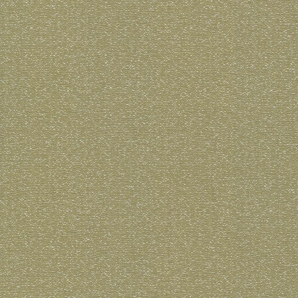 Copacabana Moss by Kasmir Fabric 5037 51% Cotton
49% Polyester
 TAIWAN 15,000 Wyzenbeek Double Rubs Horizontal: N/A and Vertical: N/A 54 - Fabric Carolina -