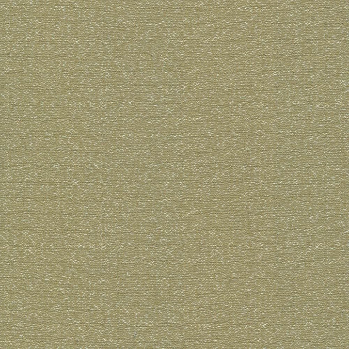 Copacabana Moss by Kasmir Fabric 5037 51% Cotton
49% Polyester
 TAIWAN 15,000 Wyzenbeek Double Rubs Horizontal: N/A and Vertical: N/A 54 - Fabric Carolina -