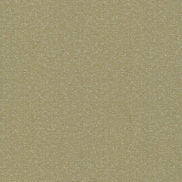 Copacabana Moss by Kasmir Fabric 5037 51% Cotton 49% Polyester TAIWAN 15,000 Wyzenbeek Double Rubs H: N/A, V:N/A 54 - 55 - Fabric Carolina - Kasmir