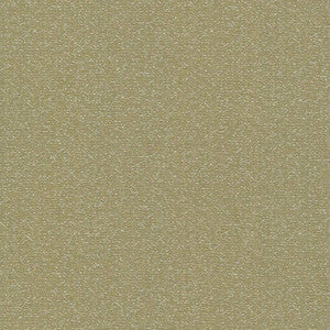 Copacabana Moss by Kasmir Fabric