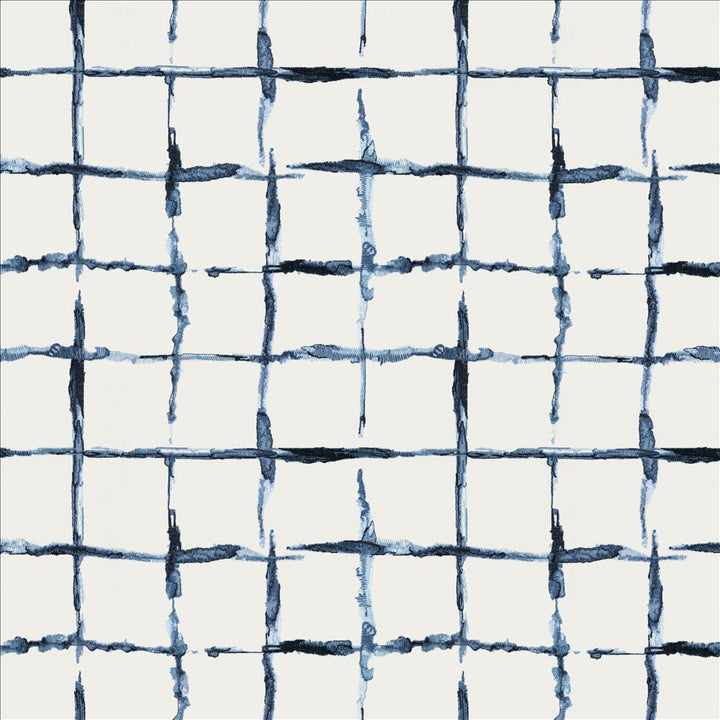 Copacetic Check Marina by Kasmir Fabric 1467 52% Cotton
48% Polyester
 INDIA </p><p>Repeat: Horizontal: 12 6/8 inches and Vertical: 12 2/8 inches 51 - Fabric Carolina -