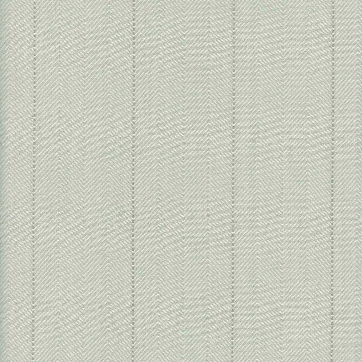 Copley Stripe Aloe By Roth & Tompkins Fabric