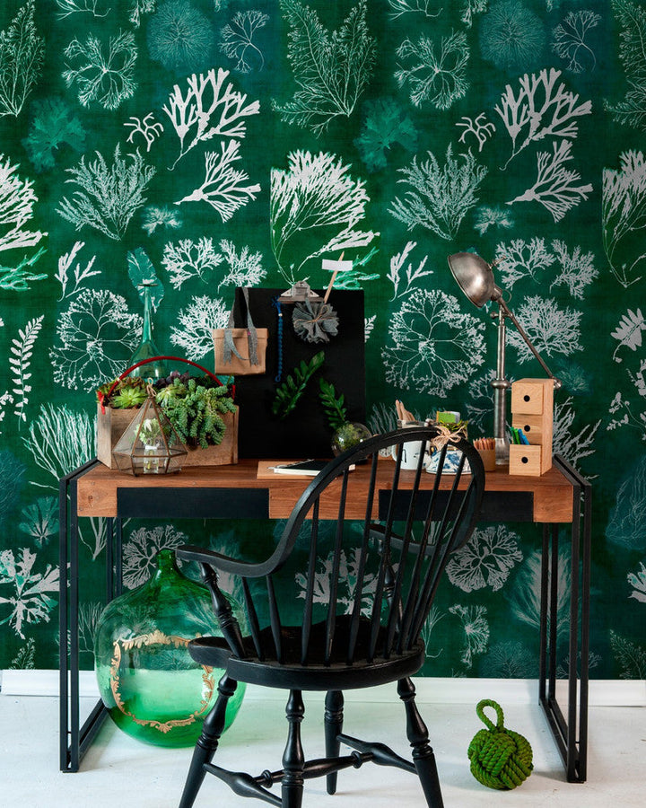Algae Moss Wallpaper by Mind the Gap Designer Wallpaper THE WALLPAPER COLLECTABLES Textured Matte Made in Europe Paste the wall 3 rolls x 20.5 x 3.25 yards - Swanky Fabrics -