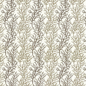 Coral Cay Stripe Natural by Kasmir Fabric