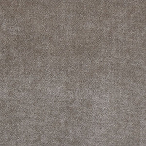 Corato Birch  by Kasmir Fabric