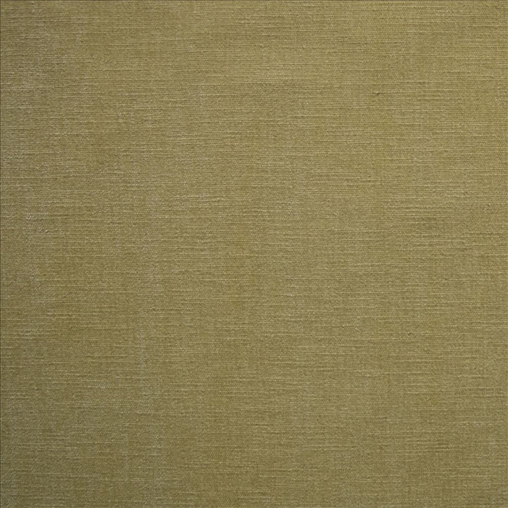 Corato Flax  by Kasmir Fabric 5187 62% Polyester 38% Cotton  INDIA  </p><p>Repeat: Horizontal: N/A and Vertical:  0 inches 54  - Fabric Carolina -