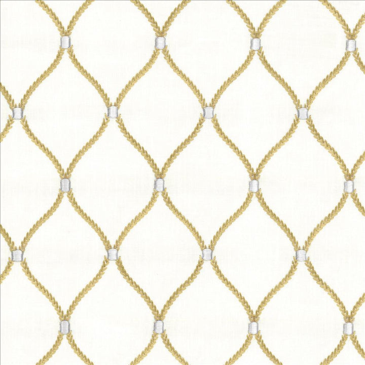 Corset Teastain by Kasmir Fabric 1450 70% Rayon
30% Linen
 INDIA 51,000 Wyzenbeek Double Rubs Horizontal: 4 2/8 inches and Vertical: 6 2/8 inches 54 - Fabric Carolina -