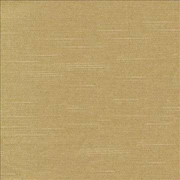 Costa Amber by Kasmir Fabric 1416 52% Cotton 48% Polyester INDIA - H: N/A, V: N/A 55 - Fabric Carolina - Kasmir