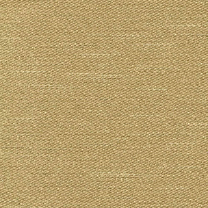 Costa Amber by Kasmir Fabric 1416 52% Cotton 48% Polyester INDIA H: N/A, V:N/A 55 - Fabric Carolina - Kasmir