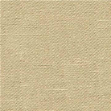 Costa Bisque by Kasmir Fabric 1416 52% Cotton 48% Polyester INDIA - H: N/A, V: N/A 55 - Fabric Carolina - Kasmir