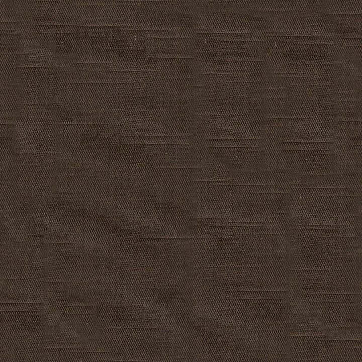 Costa Branch by Kasmir Fabric 1418 52% Cotton
48% Polyester
 INDIA </p><p>Repeat: Horizontal: N/A and Vertical: N/A 55 - Fabric Carolina -