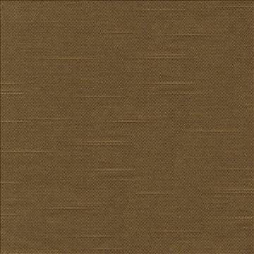 Costa Cocoa by Kasmir Fabric 1416 52% Cotton 48% Polyester INDIA - H: N/A, V: N/A 55 - Fabric Carolina - Kasmir
