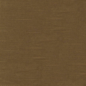 Costa Cocoa by Kasmir Fabric