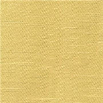 Costa Cornflower by Kasmir Fabric 1418 52% Cotton 48% Polyester INDIA - H: N/A, V: N/A 55 - Fabric Carolina - Kasmir