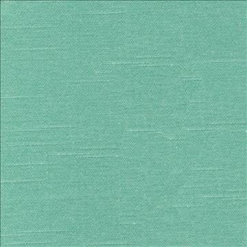 Costa Mallard by Kasmir Fabric 1420 52% Cotton 48% Polyester INDIA - H: N/A, V: N/A 55 - Fabric Carolina - Kasmir