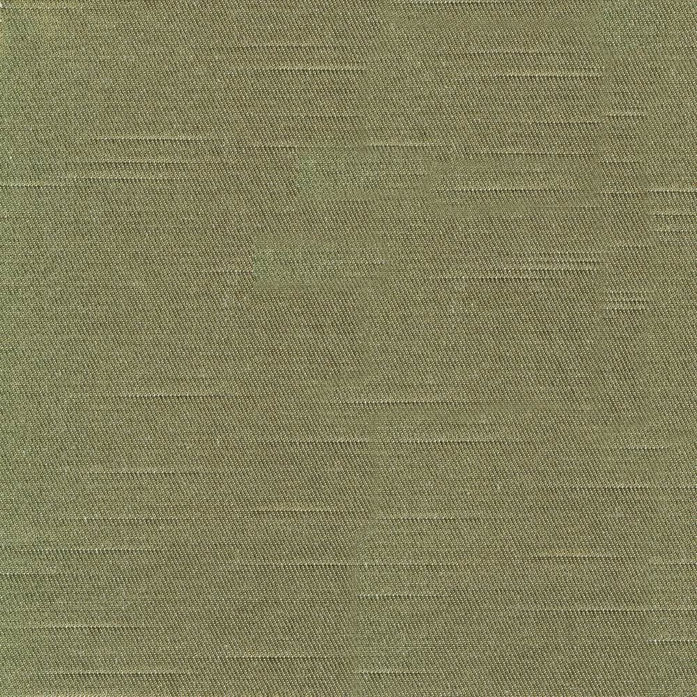 Costa Olive by Kasmir Fabric 1419 52% Cotton
48% Polyester
 INDIA </p><p>Repeat: Horizontal: N/A and Vertical: N/A 55 - Fabric Carolina -