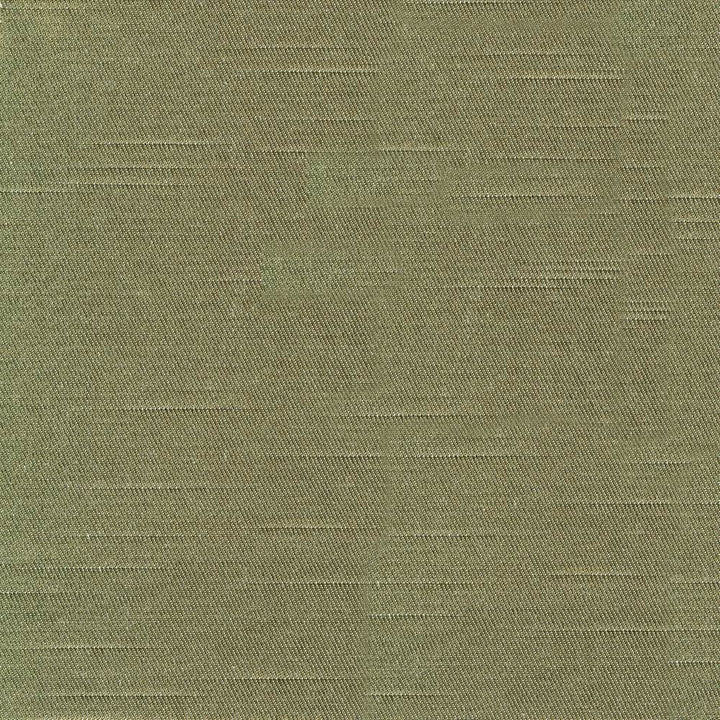 Costa Olive by Kasmir Fabric 1419 52% Cotton
48% Polyester
 INDIA </p><p>Repeat: Horizontal: N/A and Vertical: N/A 55 - Fabric Carolina -