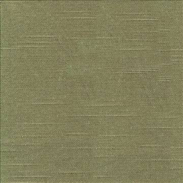 Costa Olive by Kasmir Fabric 1419 52% Cotton 48% Polyester INDIA - H: N/A, V: N/A 55 - Fabric Carolina - Kasmir