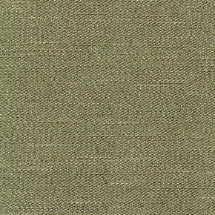 Costa Olive by Kasmir Fabric 1419 52% Cotton 48% Polyester INDIA H: N/A, V:N/A 55 - Fabric Carolina - Kasmir