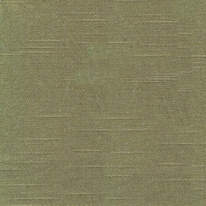 Costa Olive by Kasmir Fabric