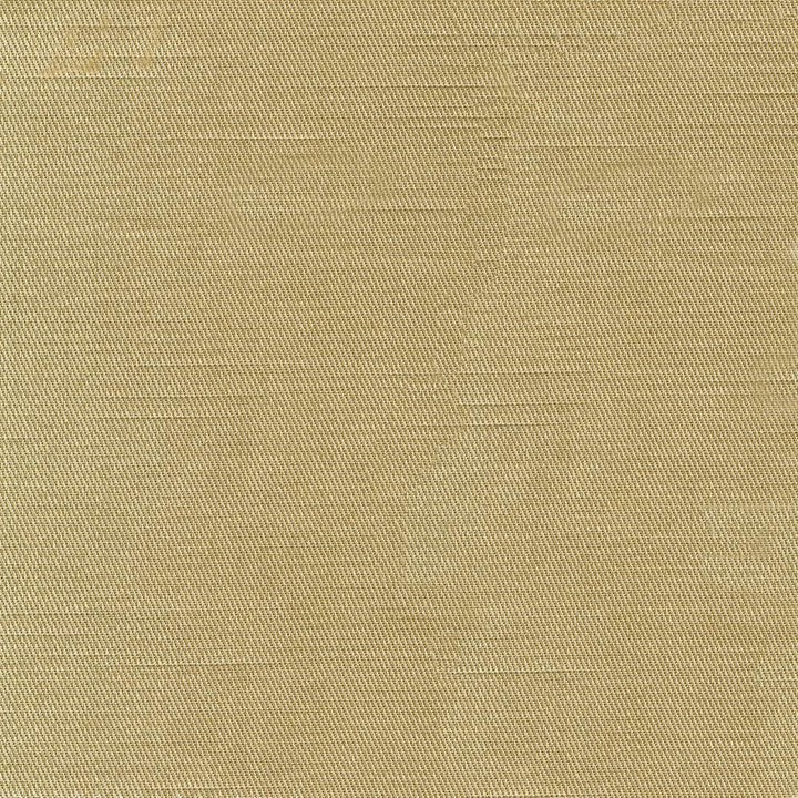 Costa Silver  by Kasmir Fabric See sample 52% Cotton
48% Polyester
 INDIA  </p><p>Repeat: Horizontal: N/A and Vertical: N/A 55  - Fabric Carolina -