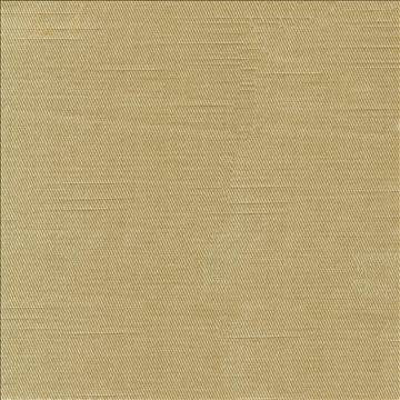Costa Silver by Kasmir Fabric 1416 52% Cotton 48% Polyester INDIA - H: N/A, V: N/A 55 - Fabric Carolina - Kasmir