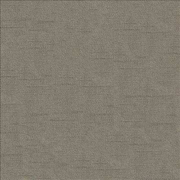 Costa Smoke by Kasmir Fabric 1416 52% Cotton 48% Polyester INDIA - H: N/A, V: N/A 55 - Fabric Carolina - Kasmir