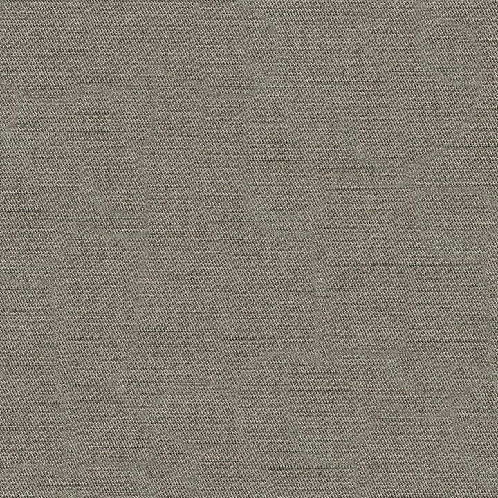 Costa Smoke by Kasmir Fabric 1416 52% Cotton 48% Polyester INDIA H: N/A, V:N/A 55 - Fabric Carolina - Kasmir