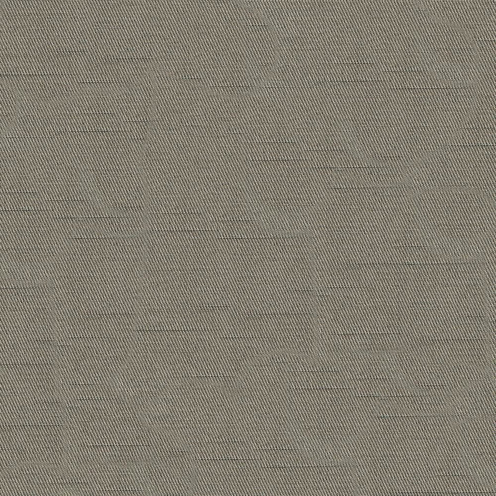 Costa Smoke by Kasmir Fabric 1416 52% Cotton 48% Polyester INDIA Horizontal: 0 Inches and Vertical: 0 Inches 55 - Fabric Carolina -