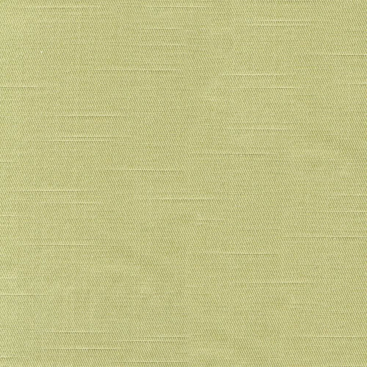 Costa Spring by Kasmir Fabric 1420 52% Cotton
48% Polyester
 INDIA </p><p>Repeat: Horizontal: N/A and Vertical: N/A 55 - Fabric Carolina -