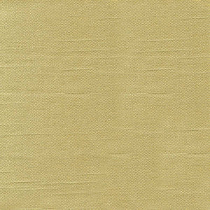 Costa Sprout by Kasmir Fabric