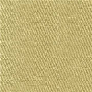 Costa Sprout by Kasmir Fabric 1417 52% Cotton 48% Polyester INDIA - H: N/A, V: N/A 55 - Fabric Carolina - Kasmir
