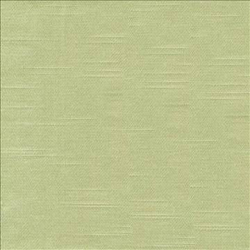Costa Stem by Kasmir Fabric 1420 52% Cotton 48% Polyester INDIA - H: N/A, V: N/A 55 - Fabric Carolina - Kasmir