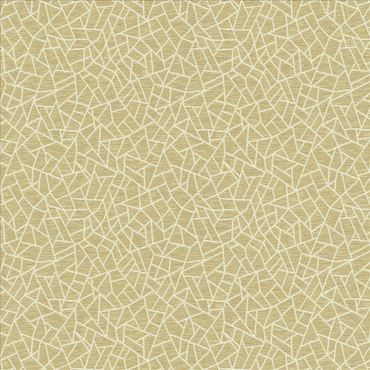Cracked Glass Beige by Kasmir Fabric 5144 65% Polyester 35% Cotton INDIA 50,000 Wyzenbeek Double Rubs Horizontal: 6 6/8 inches and Vertical: 7 6/8 inches 55 - Fabric Carolina -