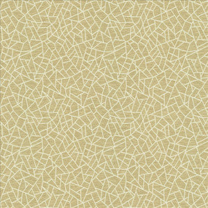 Cracked Glass Beige by Kasmir Fabric