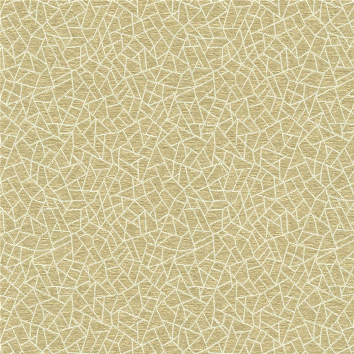Cracked Glass Beige by Kasmir Fabric 5144 65% Polyester
35% Cotton
 INDIA </p><p>Repeat: Horizontal: 6 6/8 inches and Vertical: 7 6/8 inches 55 - Fabric Carolina -