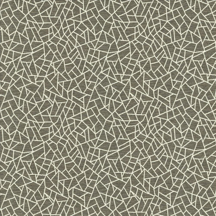 Cracked Glass Pewter by Kasmir Fabric 5144 65% Polyester
35% Cotton
 INDIA 50,000 Wyzenbeek Double Rubs Horizontal: 6 6/8 inches and Vertical: 7 6/8 inches 55 - Fabric Carolina -