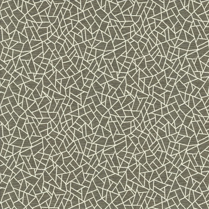 Cracked Glass Pewter by Kasmir Fabric 5144 65% Polyester
35% Cotton
 INDIA </p><p>Repeat: Horizontal: 6 6/8 inches and Vertical: 7 6/8 inches 55 - Fabric Carolina -