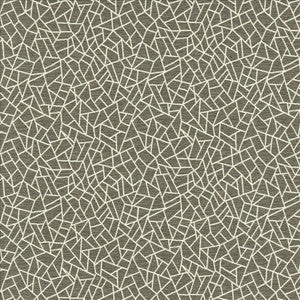 Cracked Glass Pewter by Kasmir Fabric