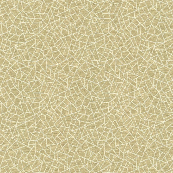 Cracked Glass Beige by Kasmir Fabric 5144 65% Polyester
35% Cotton
 INDIA </p><p>Repeat: Horizontal: 6 6/8 inches and Vertical: 7 6/8 inches 55 - Fabric Carolina -