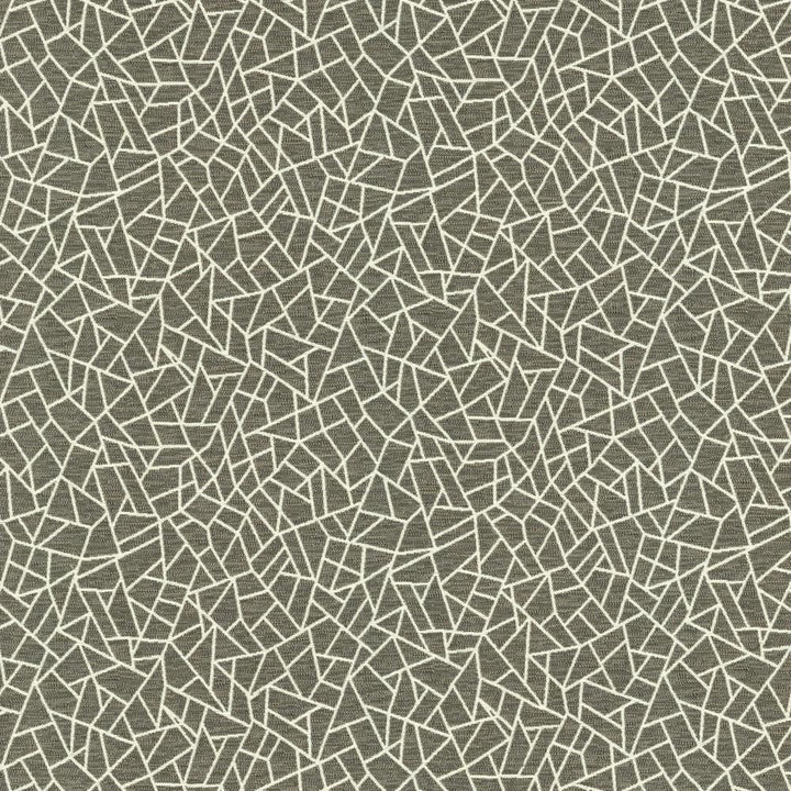 Cracked Glass Pewter by Kasmir Fabric 5144 65% Polyester
35% Cotton
 INDIA </p><p>Repeat: Horizontal: 6 6/8 inches and Vertical: 7 6/8 inches 55 - Fabric Carolina -