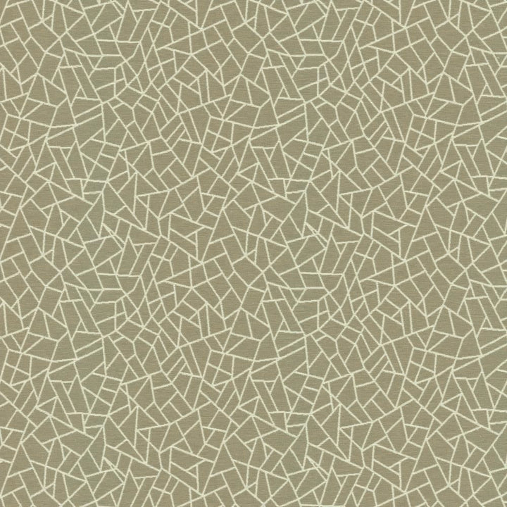Cracked Glass Silver by Kasmir Fabric 5144 65% Polyester
35% Cotton
 INDIA </p><p>Repeat: Horizontal: 6 6/8 inches and Vertical: 7 6/8 inches 55 - Fabric Carolina -