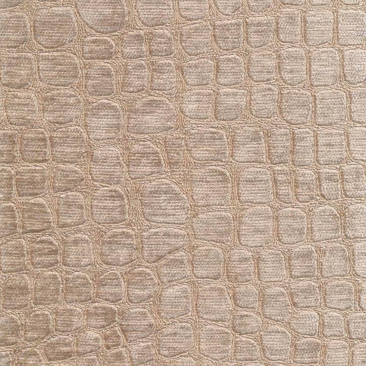 Croc Sandstone by Kasmir Fabric 1383 100% Polyester CHINA 60,000 Wyzenbeek Double Rubs H: 6 6/8 inches, V:13 6/8 inches 54 - Fabric Carolina - Kasmir