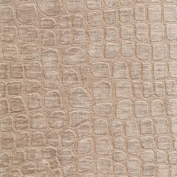 Croc Sandstone by Kasmir Fabric 1422 100% Polyester
 CHINA 60,000 Wyzenbeek Double Rubs Horizontal: 6 6/8 inches and Vertical: 13 6/8 inches 54 - Fabric Carolina -
