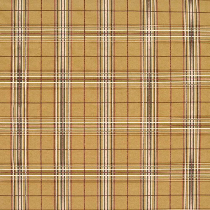 Cross Country Honey by Kasmir Fabric 1372 56% Cotton 44% Polyester TAIWAN 41,000 Wyzenbeek Double Rubs H: 7 inches, V:7 2/8 inches 54 - 55 - Fabric Carolina - Kasmir