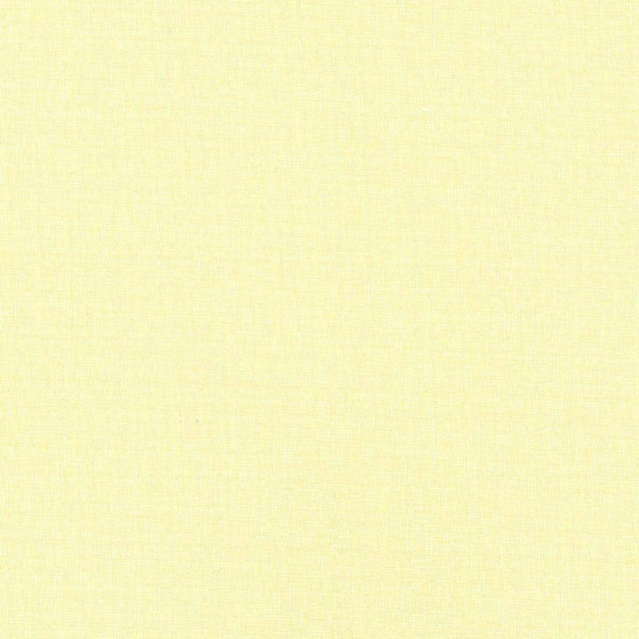 Cross Fit Linen by Kasmir Fabric 5076 100% Polyester TURKEY H: N/A, V:N/A 118 - Fabric Carolina - Kasmir