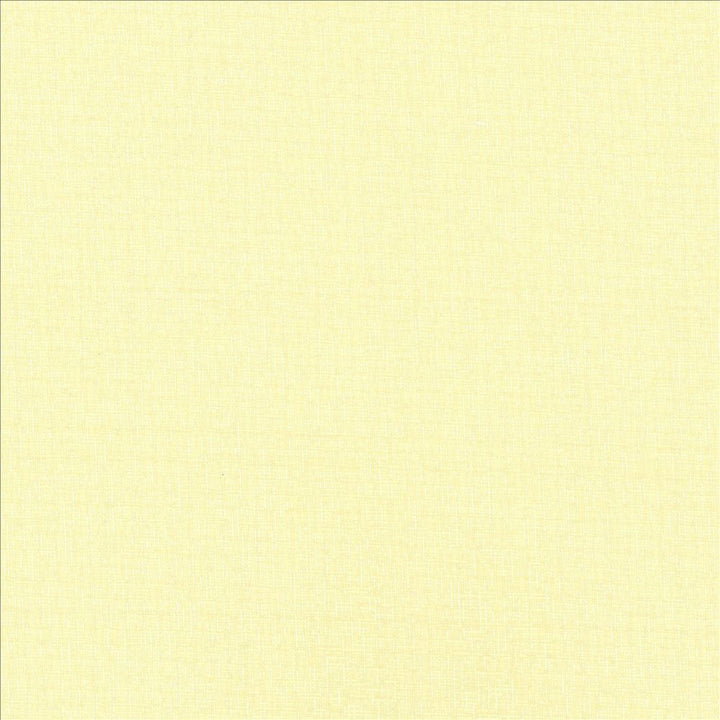 Cross Fit Linen by Kasmir Fabric 5076 100% Polyester TURKEY Horizontal: 0 Inches and Vertical: 0 Inches 118 - Fabric Carolina -