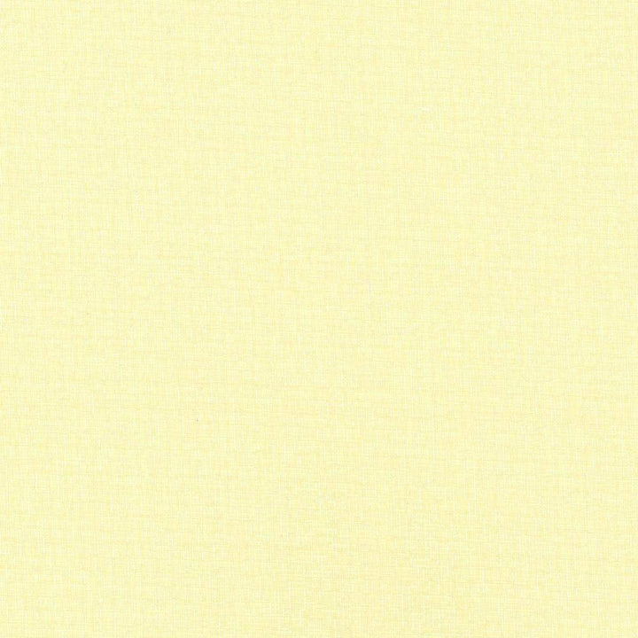 Cross Fit Linen by Kasmir Fabric 5076 100% Polyester
 TURKEY </p><p>Repeat: Horizontal: N/A and Vertical: N/A 117 - 118 - Fabric Carolina -